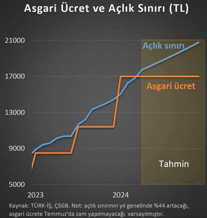 Asgari Ücrete Temmuz'da Zam Yapılacak Mı? Prof. Dr. Hakan Kara İki Çizgiyle Anlattı 6